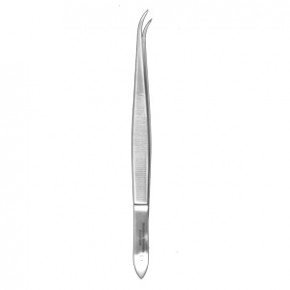 Splinter Forceps