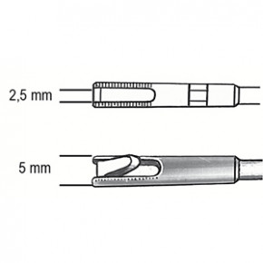 Antrumstanze